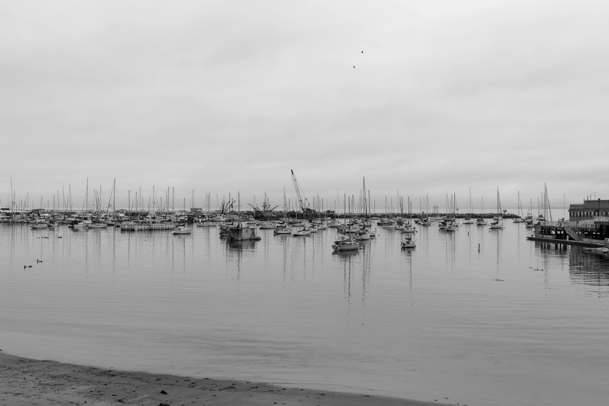 Live Refreshing Cargo Docs