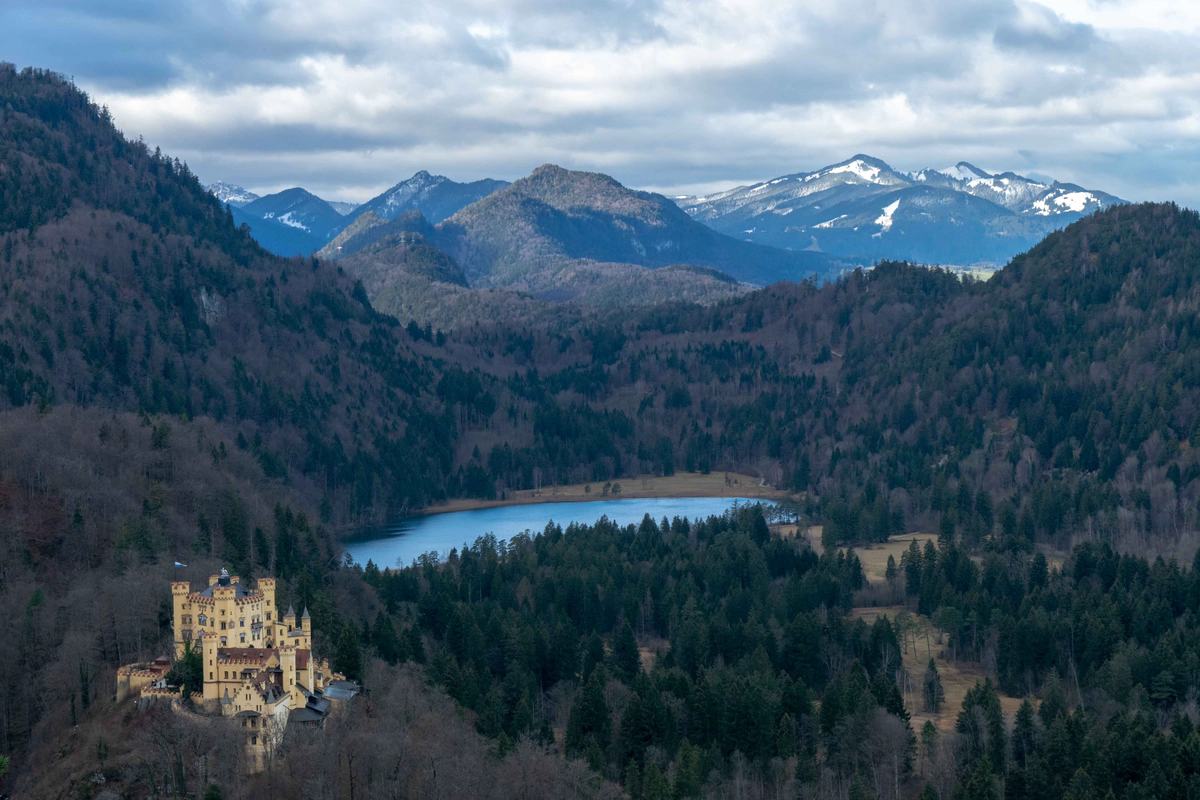 Quarantine Notes - Week 8