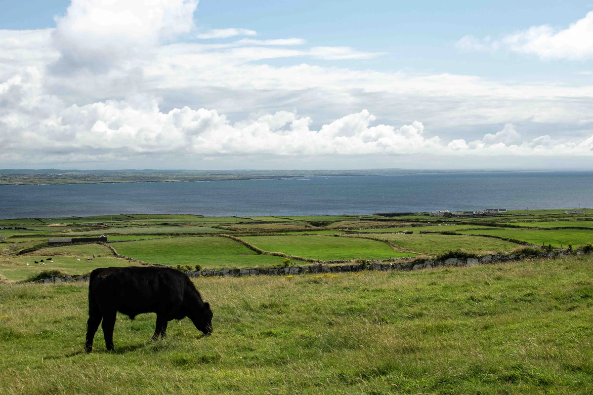 Solving the "Miracle Sudoku" in Prolog