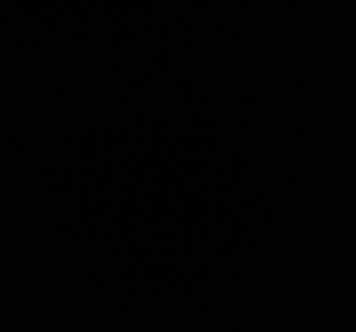 Quarantine Notes - Week 12