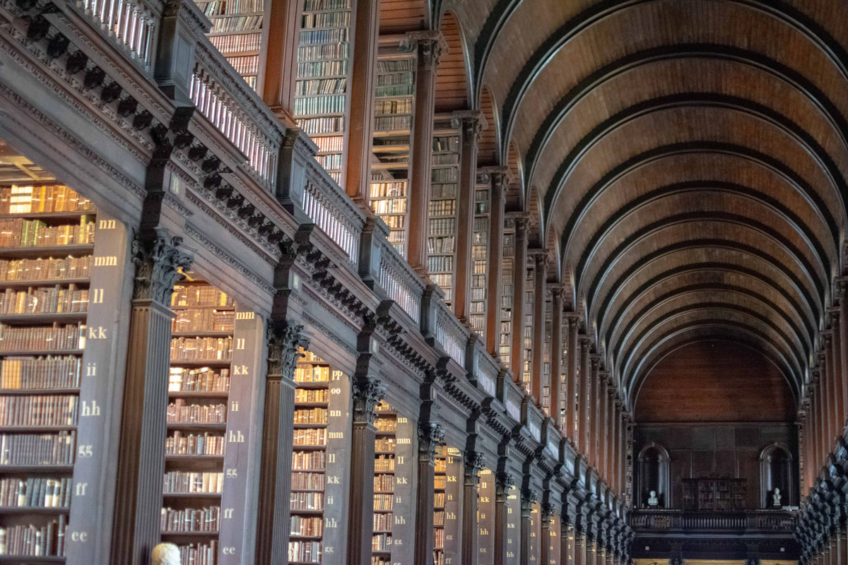 Escargotic Commotion