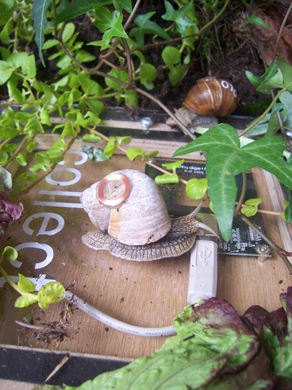 A RSM &lsquo;Agent&rsquo; in action