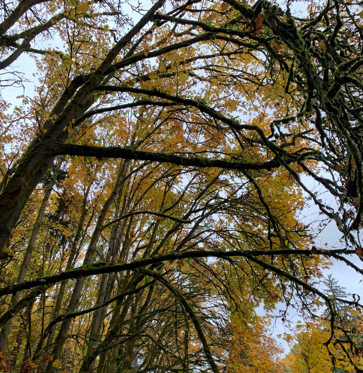 Recently - October 2021