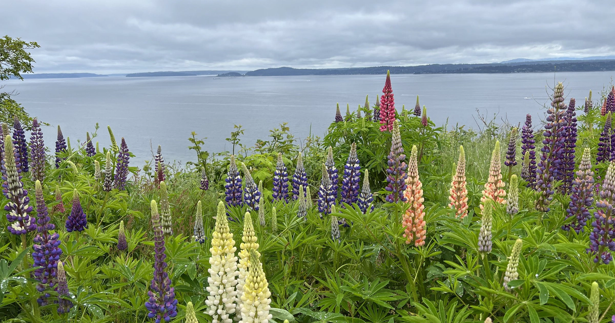 You Need to be Wrong (Sometimes)