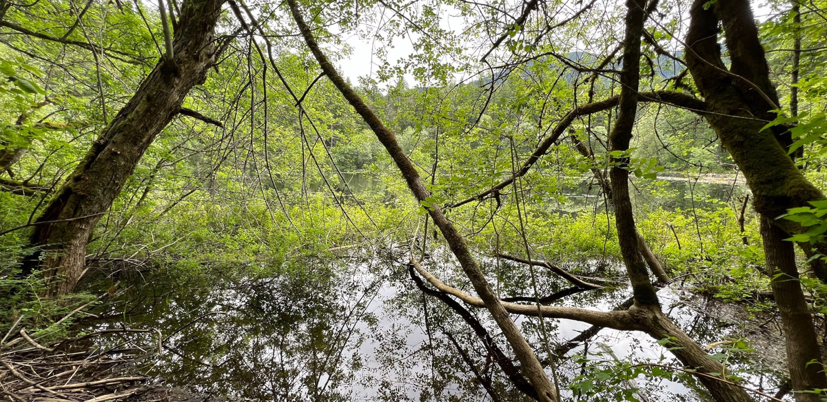 Mental Model: Difficult Problems vs. Hard Work