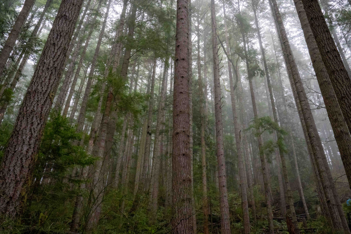 On Prompt Engineering