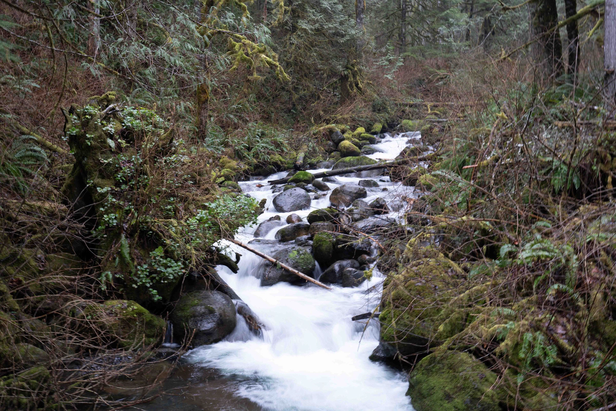 Scala Pitfall: Parameterless Function Calls and Misplaced vals