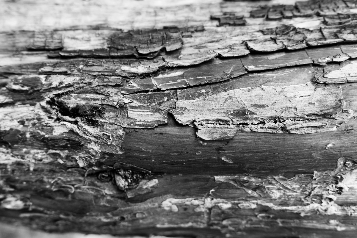 Avoid Load-bearing Shell Scripts